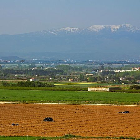 Hostal La Parrilla Tudela Dış mekan fotoğraf